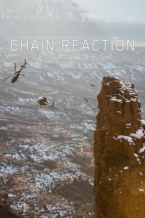 Chain Reaction - 8 Disciplines of Flight Poster
