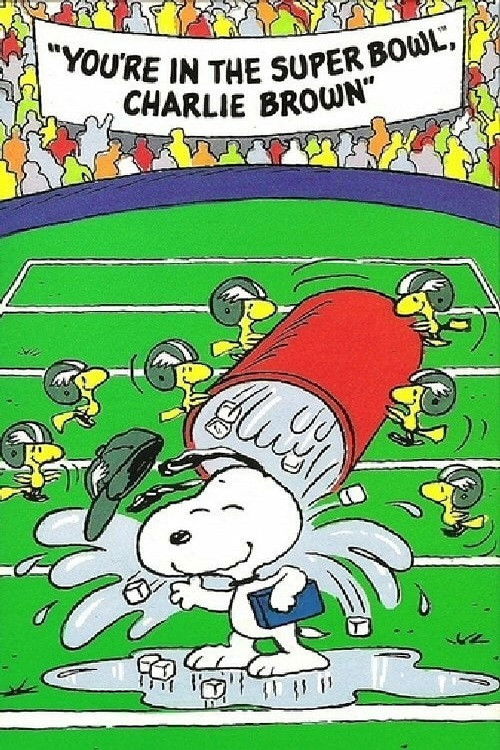 You're in the Super Bowl, Charlie Brown! Poster