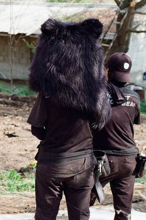 Where We Stay for a While Poster