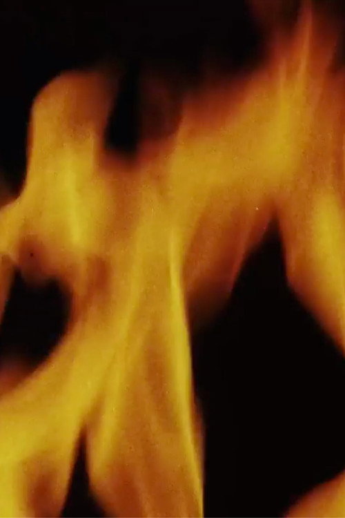 Consolations (Love Is an Art of Time) Part 3: The Body and the World Poster