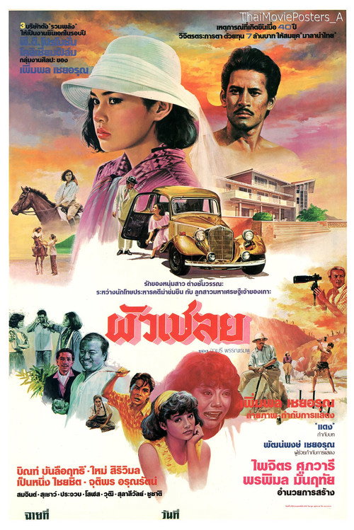 ผัวเชลย Poster