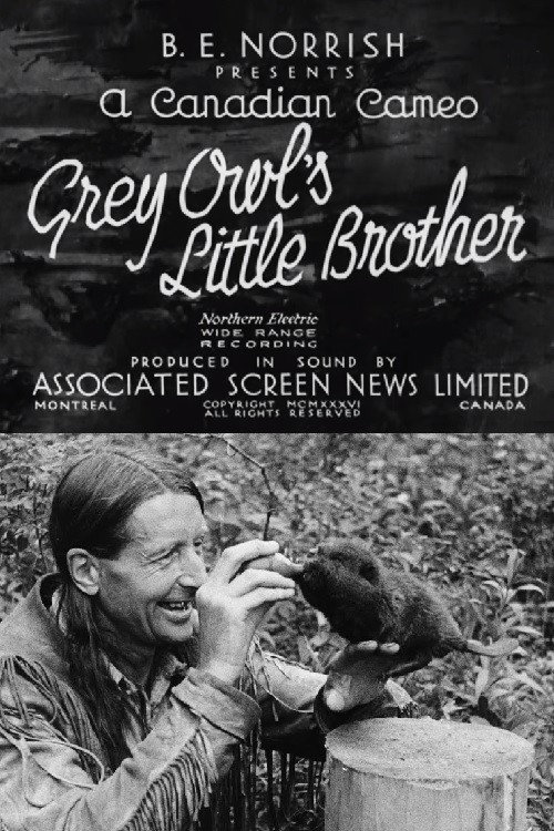 Grey Owl's Little Brother Poster