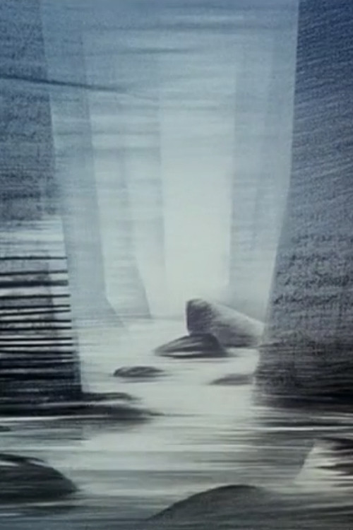 Journey Towards Light Poster