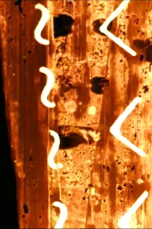 One Day an Airplane Poster