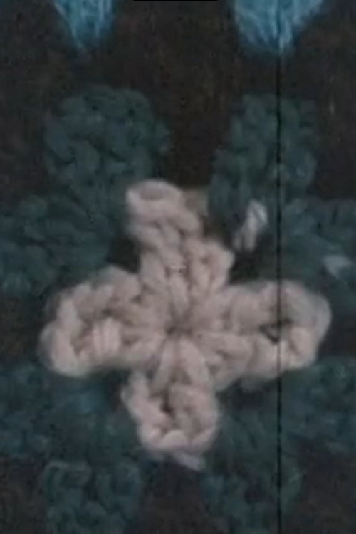 Organic Afghan Poster
