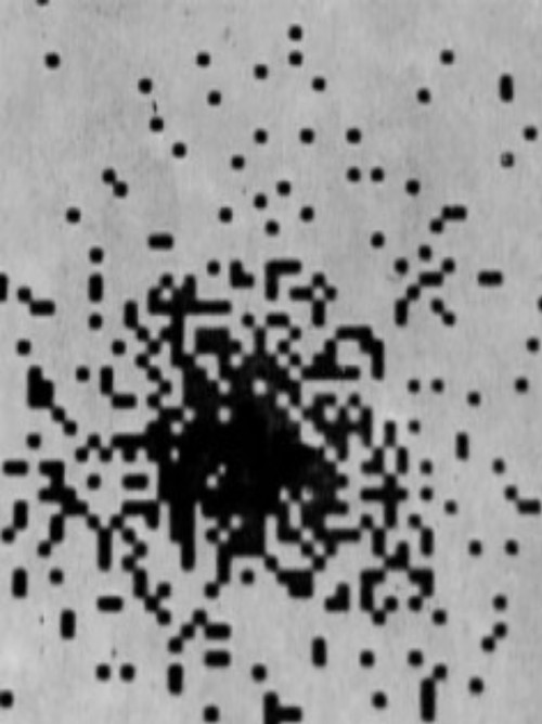 Zoo Dung Zero Poster