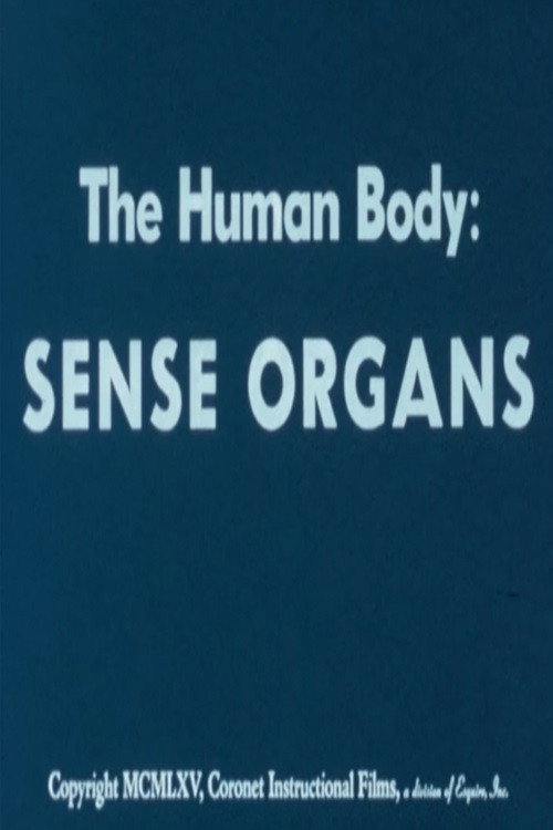 The Human Body: Sense Organs Poster