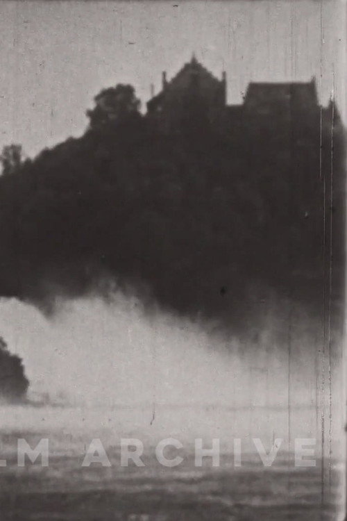 The Little Swiss Woodcarver Poster