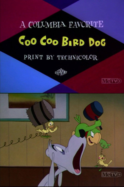Coo-Coo Bird Dog Poster
