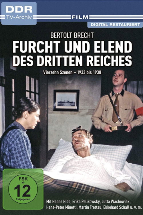 Fear and Misery of the Third Reich Poster
