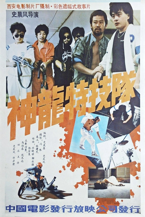 神龙特技队 Poster