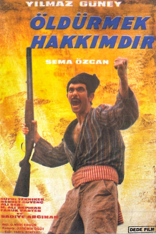 Öldürmek Hakkımdır Poster