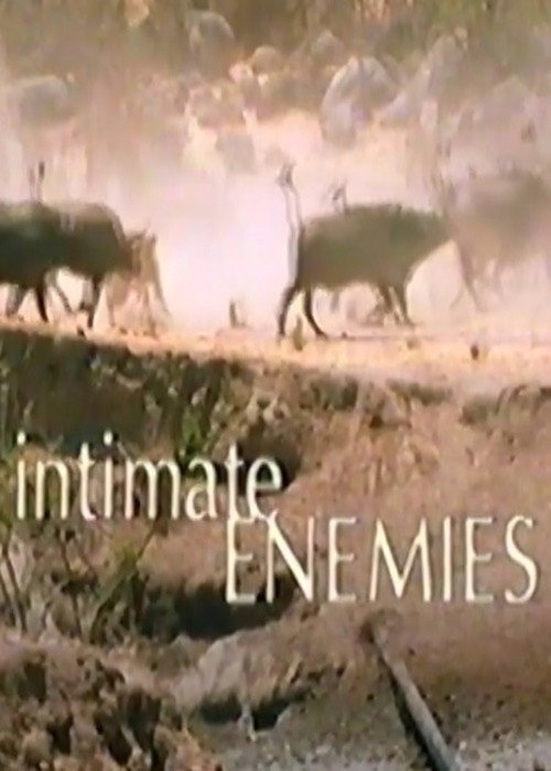 Intimate Enemies Poster