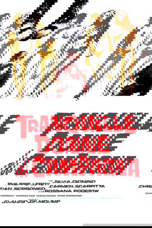 The Women of Quiet Country Poster