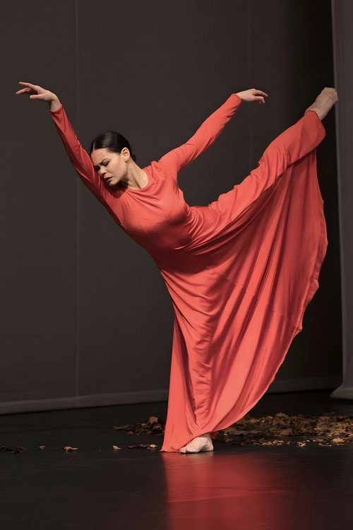 Adieu l’opéra Poster