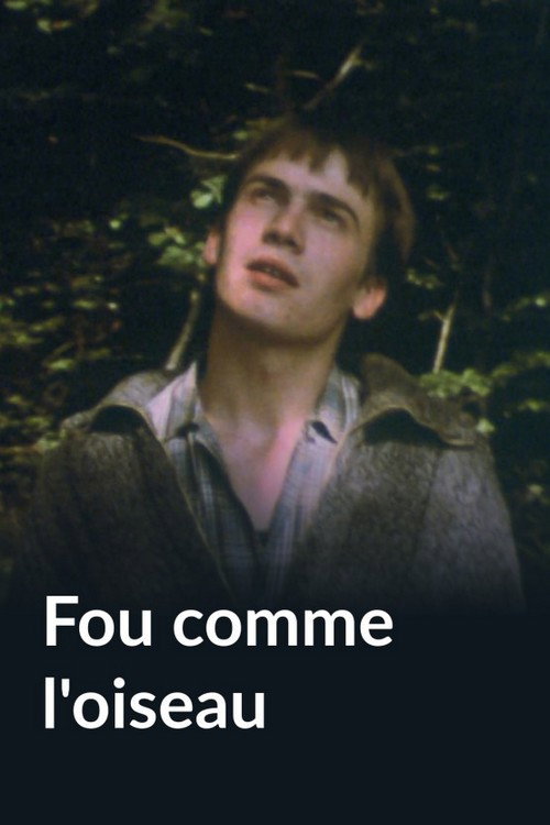 Fou comme l'oiseau Poster