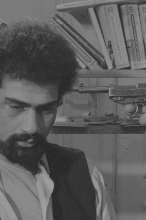 A Shadow Among Others Poster