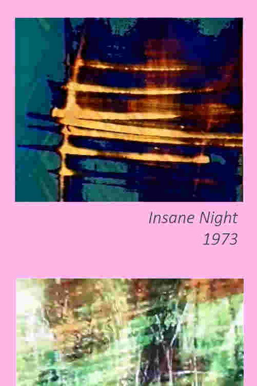 Insane Night Poster