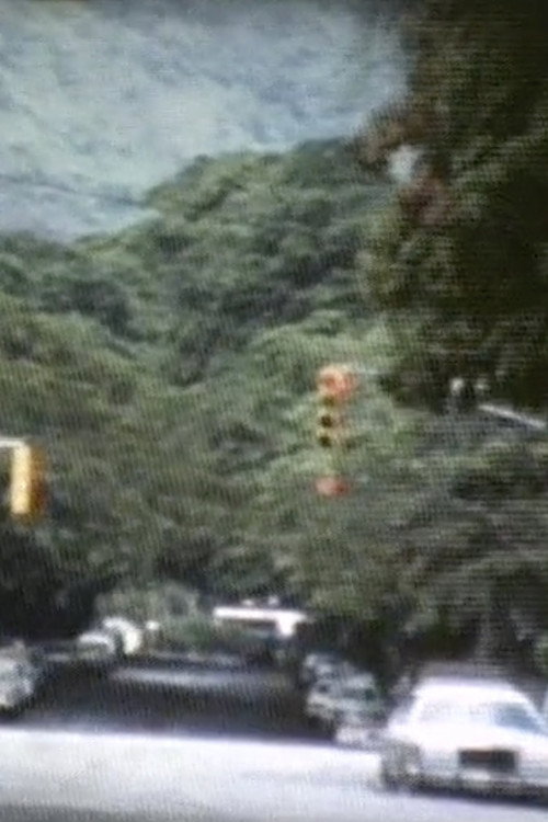 Se alquila ciudad Poster