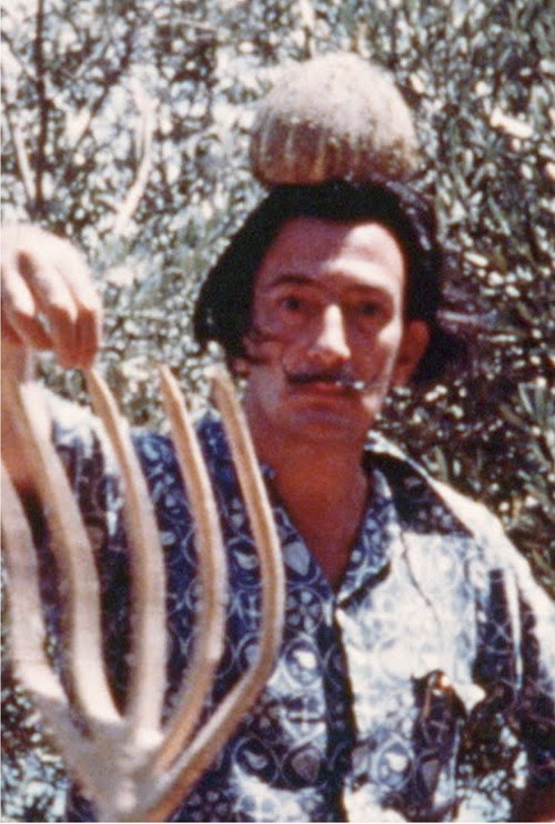 Salvador Dalí Home Movie Poster