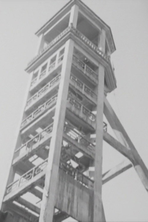 Memórias das Minas de São Pedro da Cova Poster