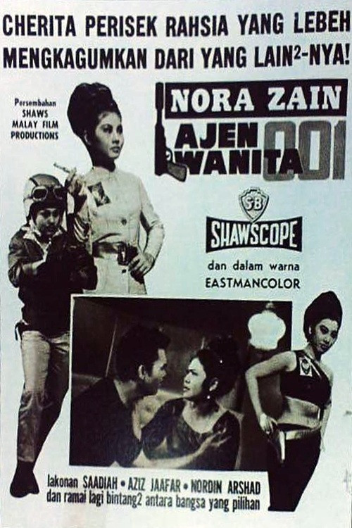 Nora Zain Ajen Wanita 001 Poster