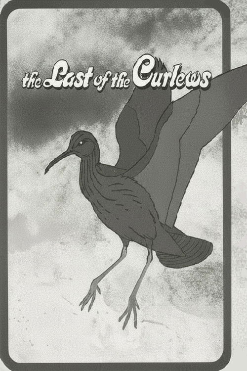 The Last of the Curlews Poster