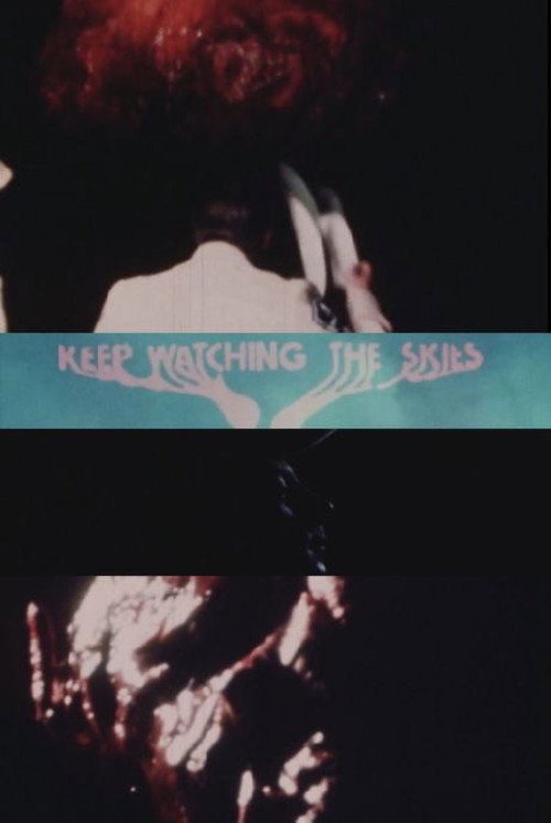 Keep Watching the Skies Poster