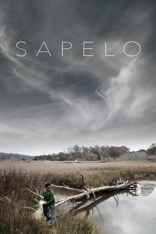 Sapelo Poster