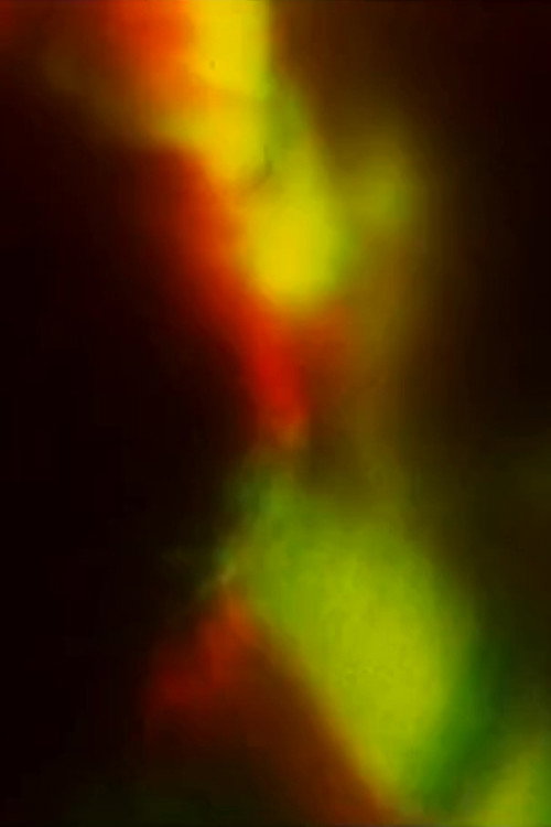 Abstract film en couleurs Poster