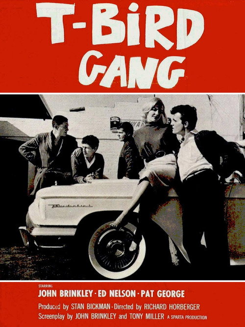 T-Bird Gang Poster
