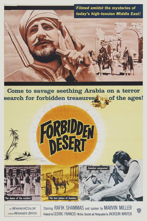 Forbidden Desert Poster