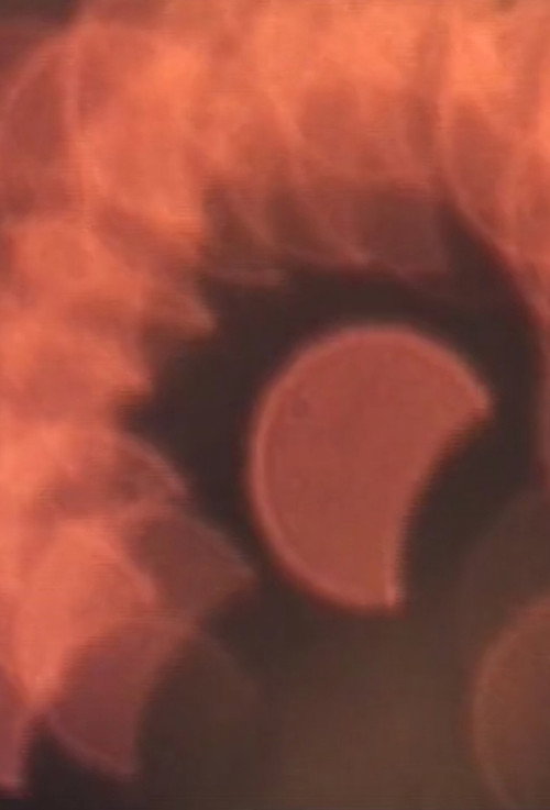 Idea assurda per un filmaker - Luna Poster