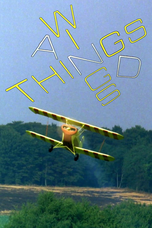 Wings and Things Poster