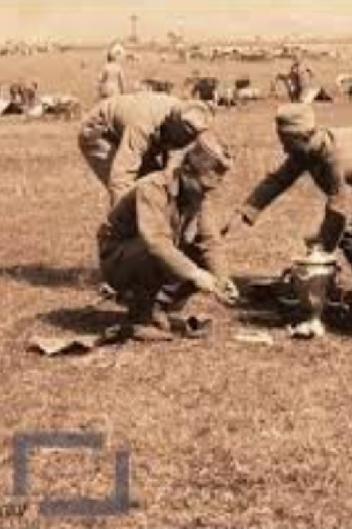 12th Cavalry Division Poster