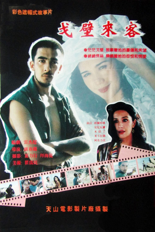 Gobi Visitors Poster