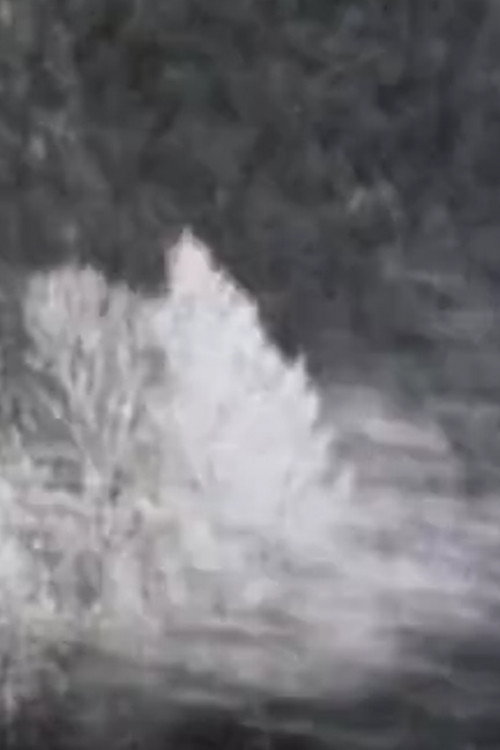 Chronographies Poster