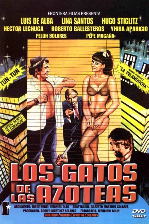 The Cats on the Rooftops Poster