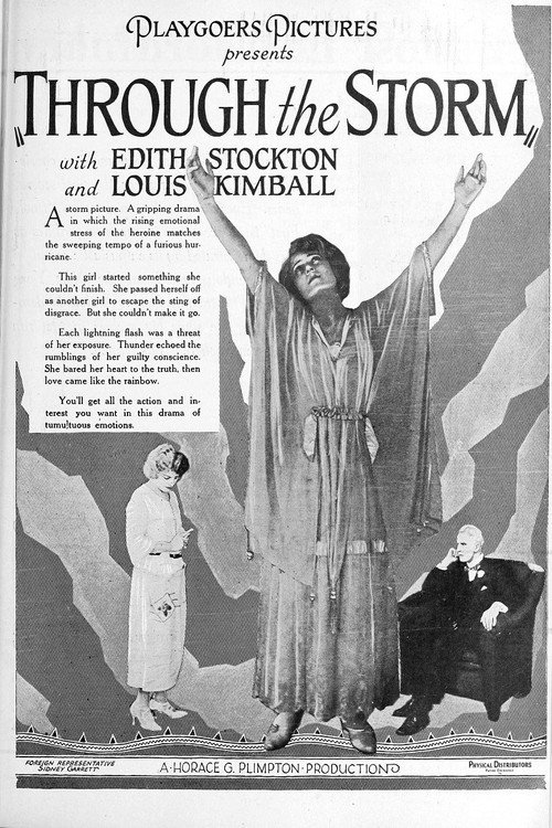 Through the Storm Poster