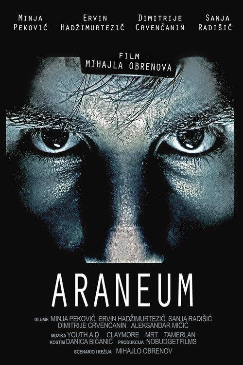 Araneum Poster
