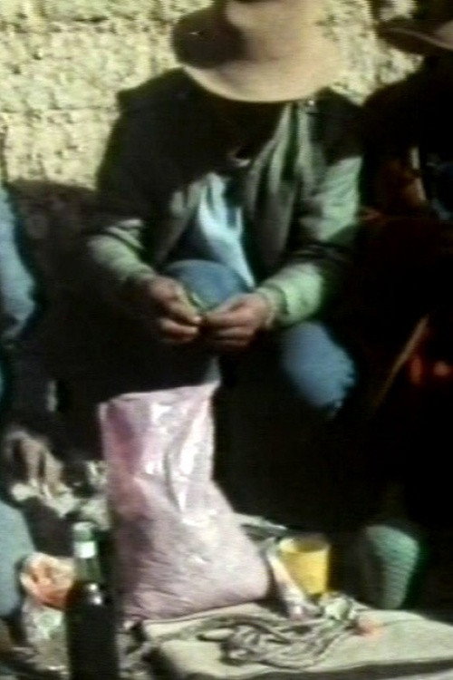 The Condor and the Bull Poster