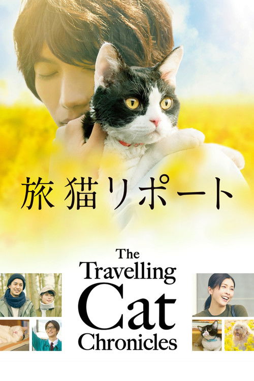 The Travelling Cat Chronicles Poster