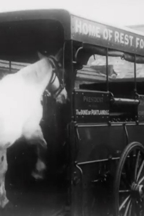 Horses' New Year's Feast Poster