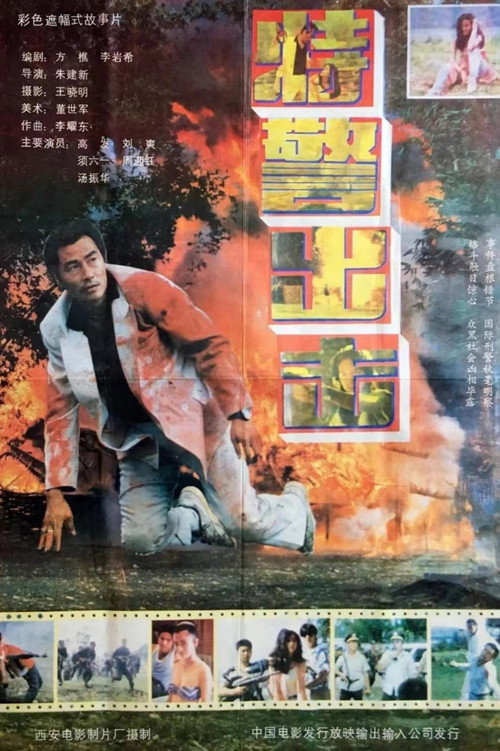 Special Group Poster