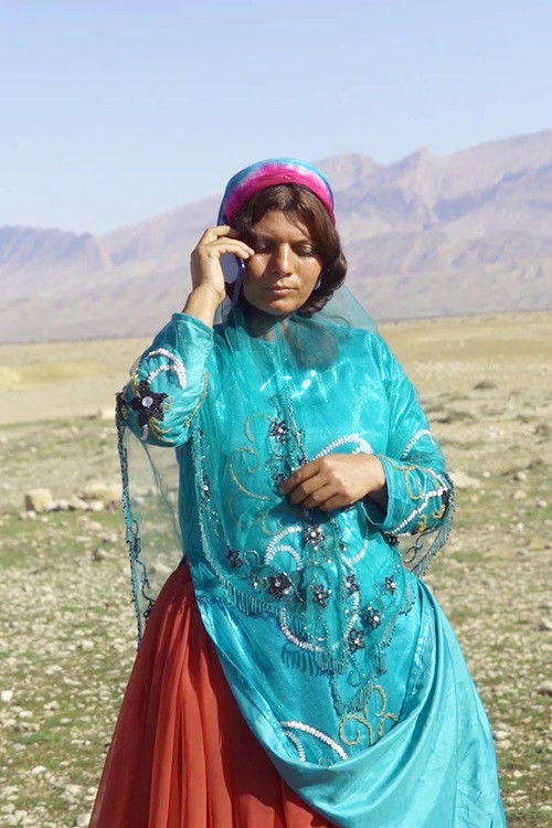 Vanishing Tracks Poster