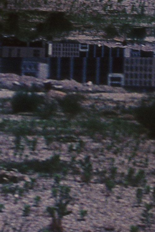 Lost Shoe Blues Poster