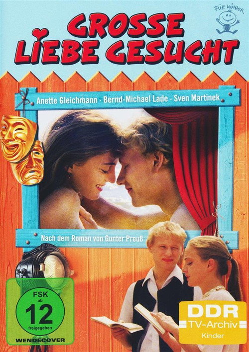 Große Liebe gesucht Poster