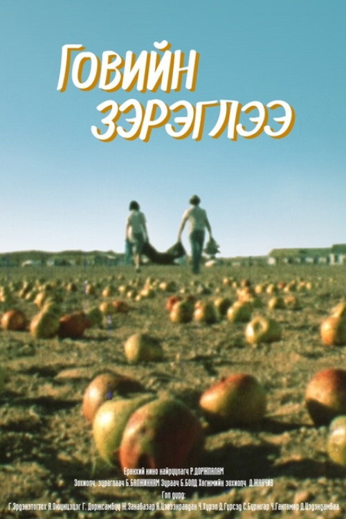 Mirage Above the Gobi Desert Poster