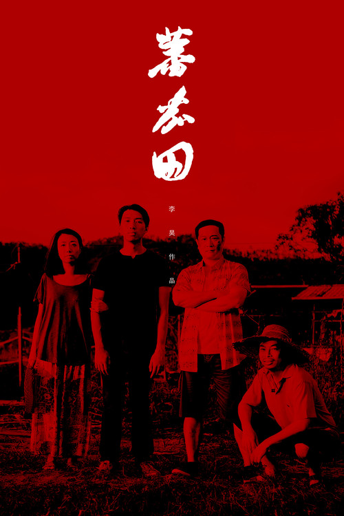 Taste Of Tomato Poster