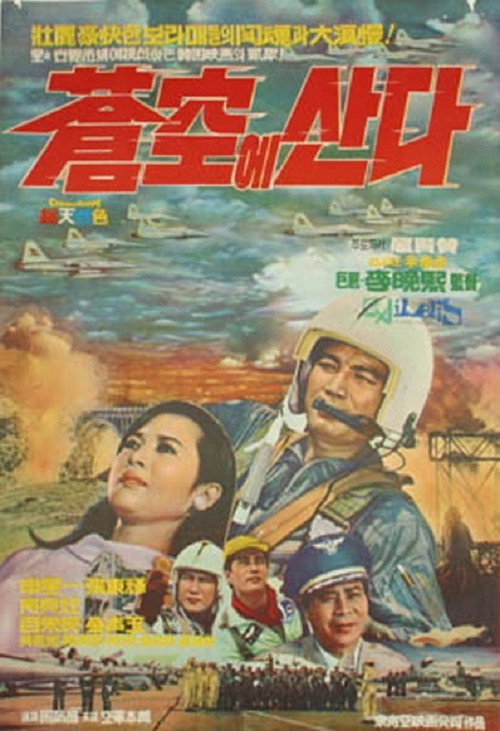 Living in the Sky Poster